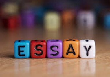 GET PROFESSIONAL ESSAY WRITNG SERVICES