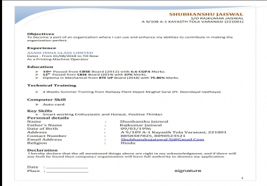 Resume,  Curriculum Vitae,  Bio Data etc maker
