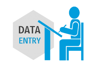 Expert in data entry,  Excel work,  transcription and logo design.