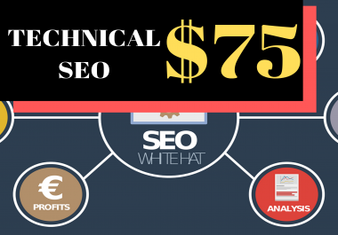 Complete Technical SEO,  SEO AUDIT- 2 DAY DELIVERY