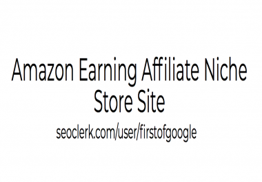 Amazon Earning Affiliate Niche Store Site