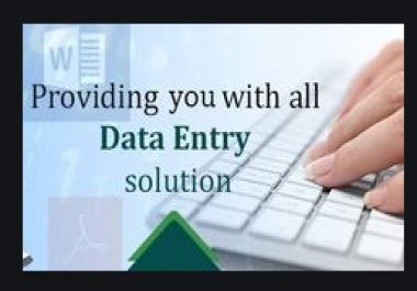 I will do all type of data entry work
