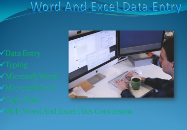 I will do an expert and a proficient data entry work