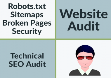 Give you a professional SEO audit report and send complete report
