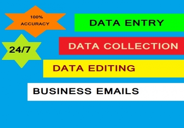BEST QUALITY,  NO MISTAKES. FULFILL YOUR DATA ENTRY REQUIRMENT WITH JUST ONE CLICK.