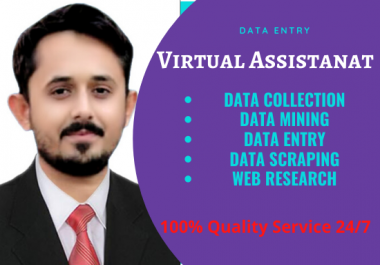 Be an ideal virtual assistant,  data entry,  web research,  copy paste,  data mining