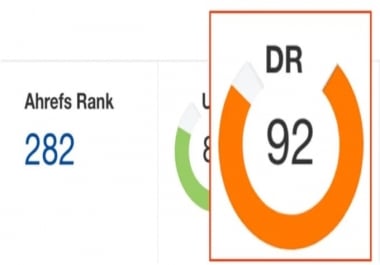 I will build 5 high DR 50 homepage pbn backlinks do follow links