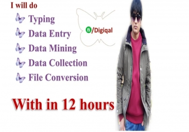 permanent virtual assistant for dada entry, dada mining copy past,  web research.