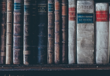 ALL IN ONE GO,  WEBSITE SHARING,  LOGO DESIGN,  WEBSITE DESIGN,  PHOTO EDITING,  PROFESSIONAL ID CARD