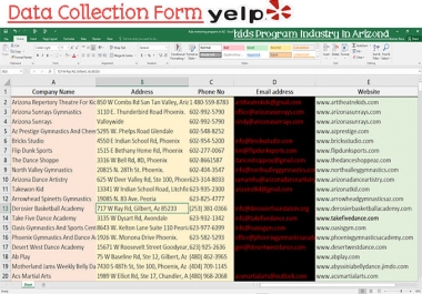 do Professional Data entry web Research typing copy paste