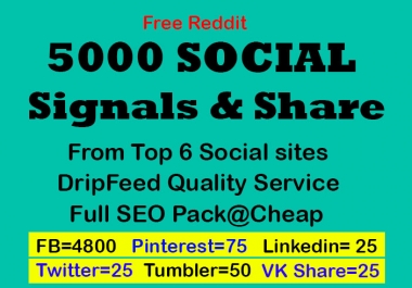 7 days drip feed service and social signals from top 6 social sites for website and youtube SEO
