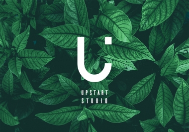 design spectacular logo design within 24hours