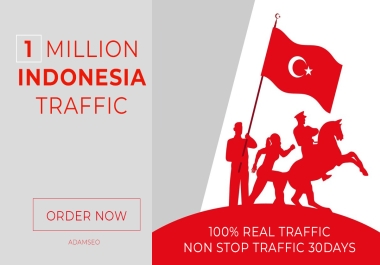 1 Million Real Indonesia Human Website Traffic visitors Only ADAMSEO