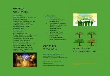 Design your business professional and eminence brochure