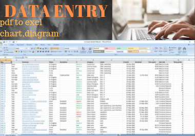 any type of data entry,  copy writing in 1 day