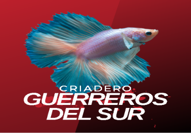 Logo Design 2022 high quality results and not copy templates