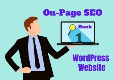 I will do on page seo for your wordpress website
