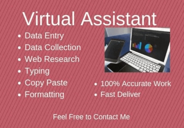 Virtual Assistant and Data Entry Expert