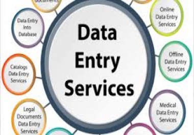 I will provide you quality data entry works
