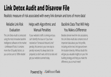 Expert Link Risk Audit and Disavow File