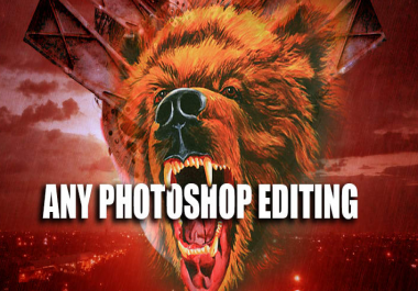 I will do any photoshop editing