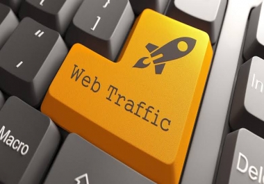 10,000 Genuine and real human traffic to your website.