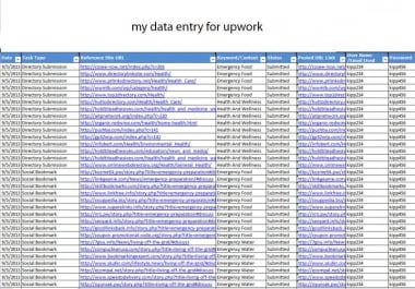 I will do data entry work with perfectly and accuracy