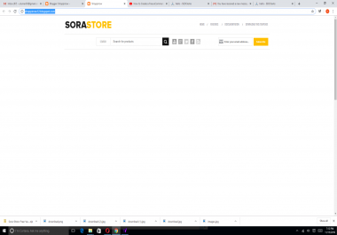 i will create a professional website for you