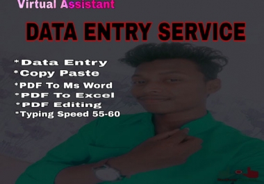 I will do excel data entry, copy past,  pdf to word,  typing