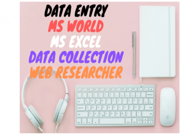 I will do your data entry,  collection,  copy,  paste and web research work