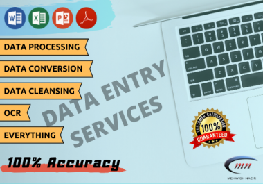 I will do any data entry or typing job