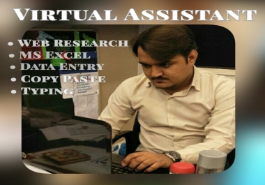 I am your virtual assistant for data entry,  data mining,  copy paste,  web research