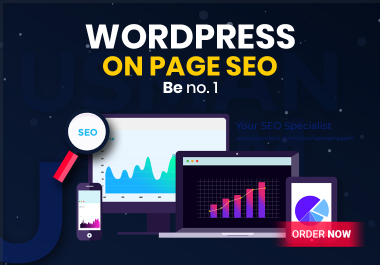 I will do complete on-page and technical SEO of your wordpress website