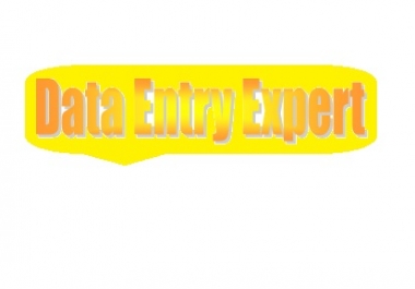 Any Kind of Data Entry Work with the Best Quality and in Time