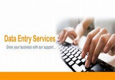 We do data entry in MS excel and MS word