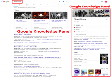 I Will create Google Knowledge Panel for Musician