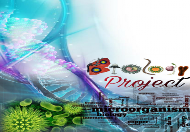 LOGO Designer,  Books Cover Page,  Photo Editor.