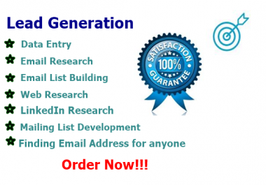 I will do data entry,  lead generation and web research
