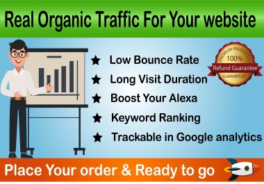 Rank Fast - Niche targeted low bounce rate organic traffic for 30 days