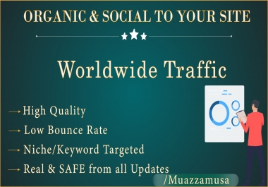 Worldwide Organic & Social Google,  Bing,  Yahoo and Top Social media platforms 30 Days