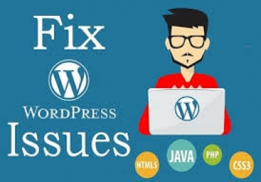 I will fix wordpress website issues or errors in 24 hrs