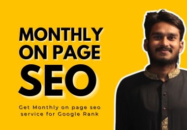 You will get a Monthly On Page SEO specialist