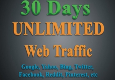 UNLIMITED TARGETED Web Traffic From Worldwide for 30Days to your Website