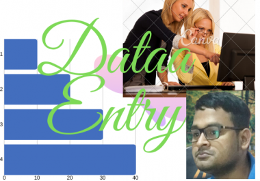 I will do data entry,  data mining,  Data collection