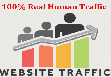 Drive you 25,000 Real Human Website Traffic