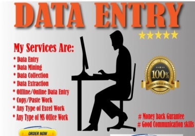 Data Entry & Microsoft Offices Services within 1-2 days