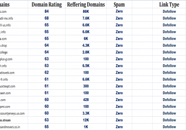 I will create 10 DR 60+ Homepage Dofollow PBN Backlinks