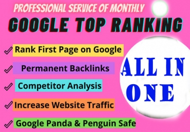 I will do monthly SEO service for google top ranking