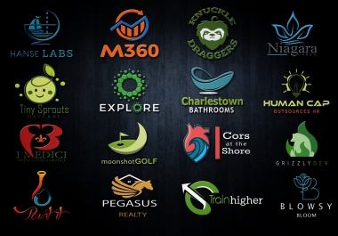 I will design 3 minimalist logo concepts design