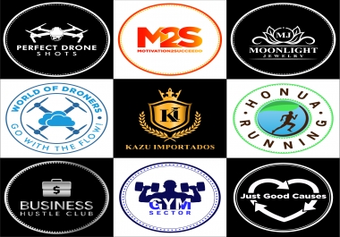 i will design unique business logo in 24hrs